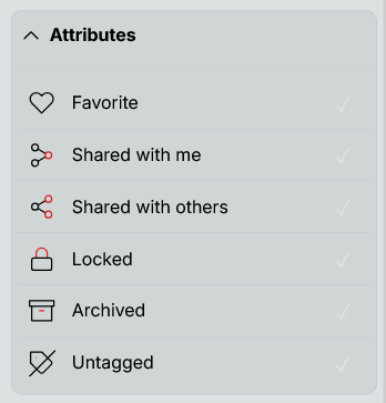 Attributes like Favorite, Locked, Archived etc.